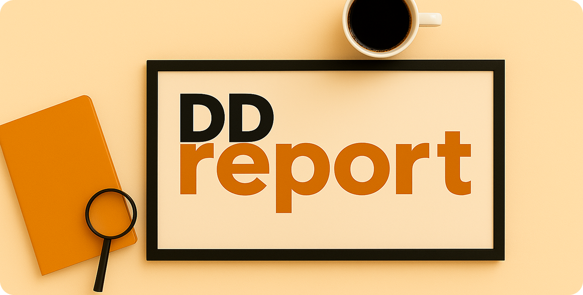 Due Diligence (DD) report – on which questions shall it answer to?